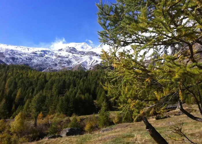 Apartmán Mikado By Interhome *